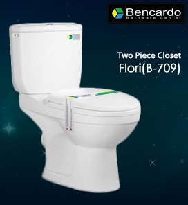 Wash Down Two Piece Toilet B-709