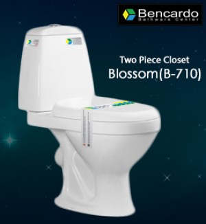 Wash Down Two Piece Toilet B-710