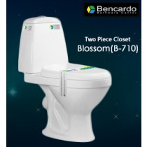 Wash Down Two Piece Toilet B-710